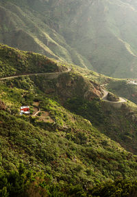 High angle view of green landscape