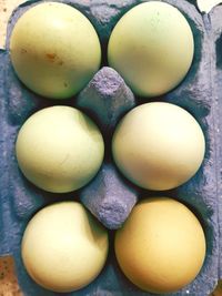 High angle view of eggs in container