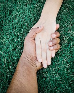 High angle view of human hand on field