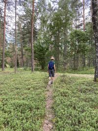 Rear view of man walking in forest