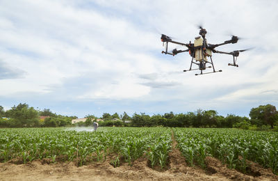 Scenic view of agricultural field against sky