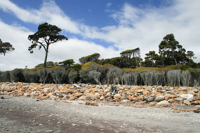 Scenic view of stream against sky