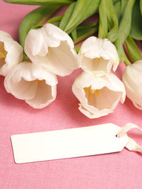 Close-up of white tulips with label on table