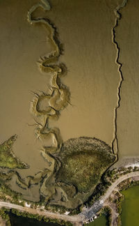 Close-up of painting on wall