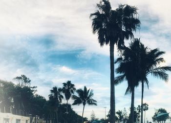 Low angle view of silhouette palm trees against sky