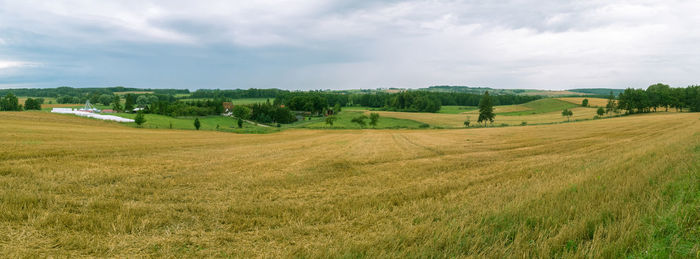 Scenic view of agricultural field against sky