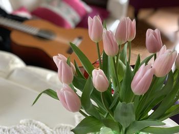 Close-up of pink tulips