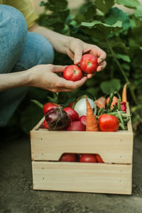 High angle view of fruits on table