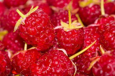 Full frame shot of strawberries