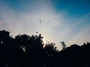 Low angle view of birds flying in sky