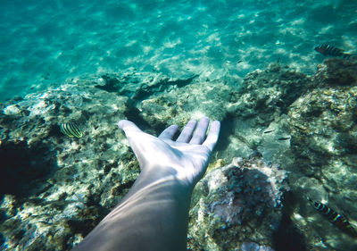 Cropped hand of woman in sea