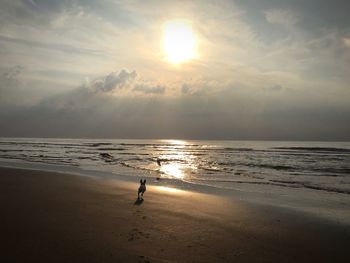 Scenic view of beach against sky during sunset