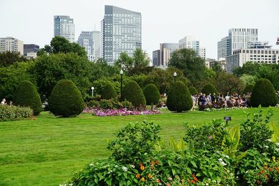 Trees in park against cityscape