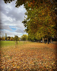 autumn