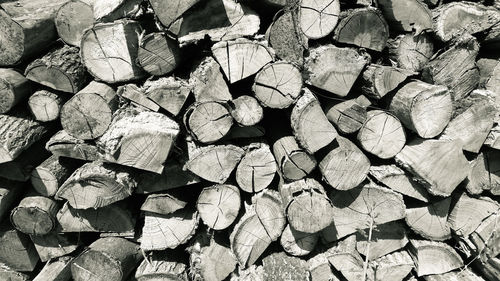 Full frame shot of logs in forest