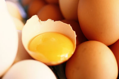 Close-up of egg