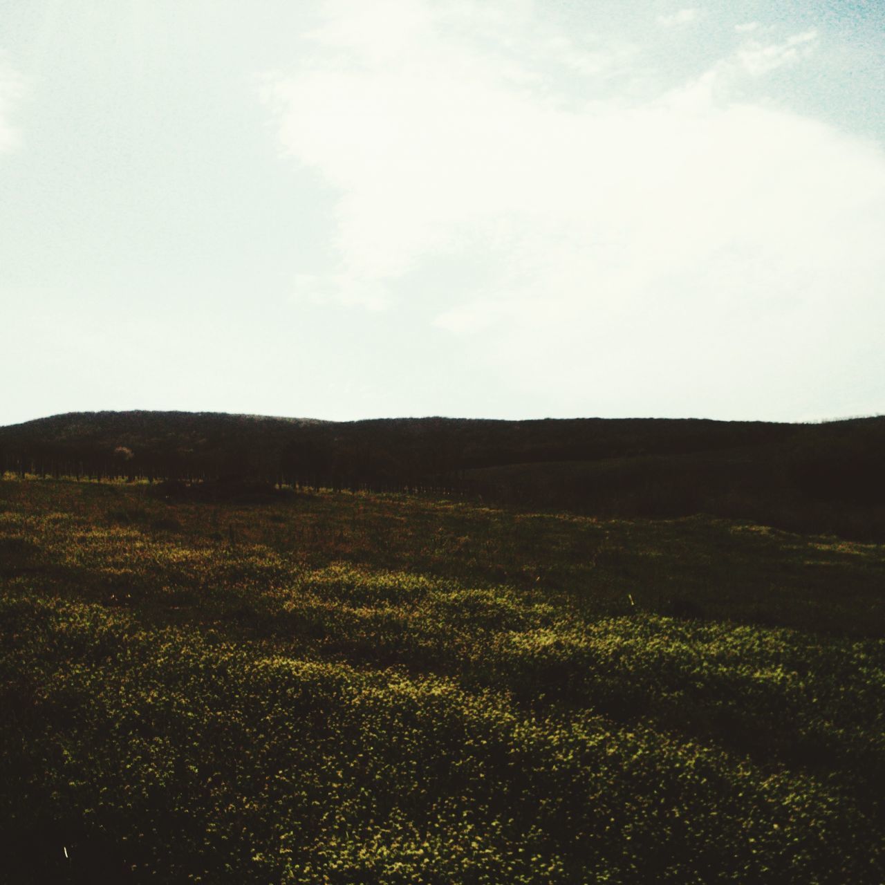 landscape, tranquil scene, tranquility, sky, field, scenics, beauty in nature, grass, nature, mountain, growth, non-urban scene, horizon over land, plant, grassy, rural scene, remote, cloud - sky, idyllic, cloud