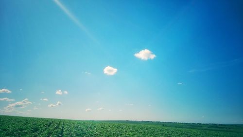 Scenic view of field against clear sky