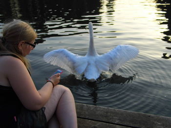 Side view of swan in lake