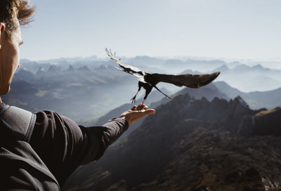 Cropped image of man holding bird
