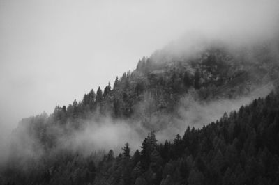 Panoramic view of trees and mountains against sky