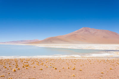 Scenic view of beach against clear blue sky