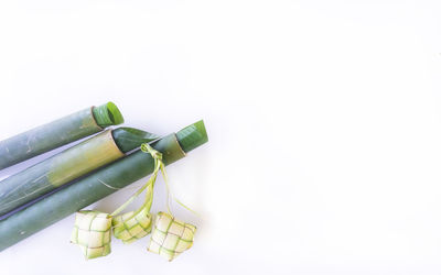 Close-up of food against white background