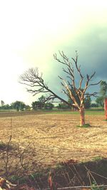 Bare trees on field against cloudy sky