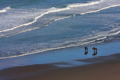 People enjoying at beach