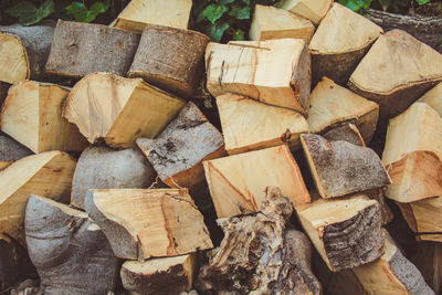 Full frame shot of logs in forest