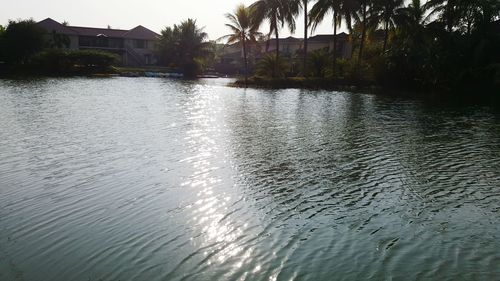 Reflection of trees in water