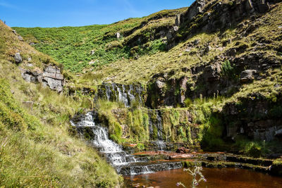 Scenic view of waterfall in forest