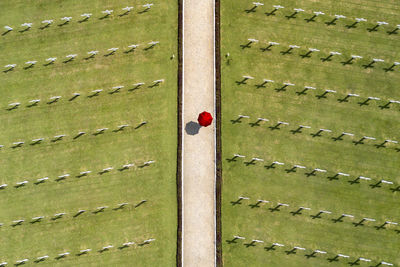 Aerial view of cemetery