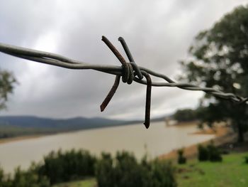 Close-up of barbed wire against sky