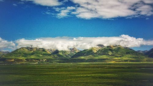 Scenic view of field against sky