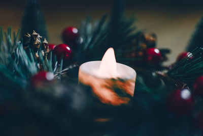 Close-up of christmas decoration