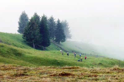 People on field against sky