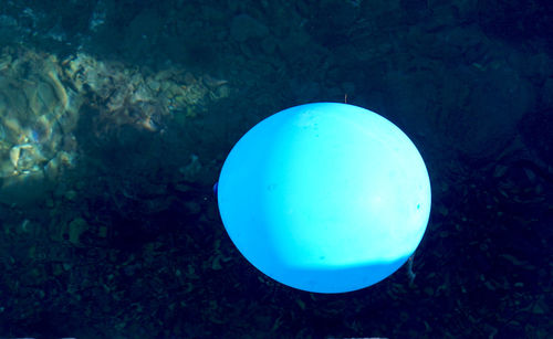 Close-up of illuminated swimming underwater