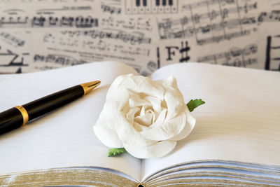 High angle view of white roses on table