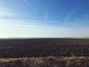 Scenic view of field against sky