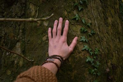 Cropped hand of man touching tree trunk in forest