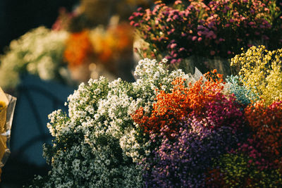 Street flowers