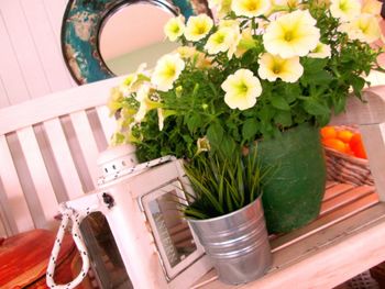 High angle view of vase on table