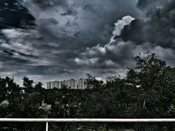 Cloudy sky over trees