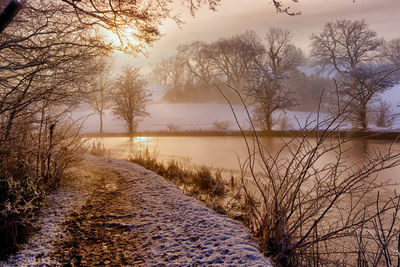 Leeds and liverpool canal at east marton. winter sun.