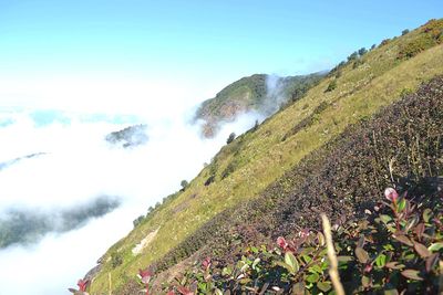 Scenic view of mountains against sky