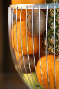 Close-up of fruits in container