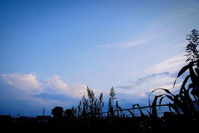 Silhouette trees against blue sky