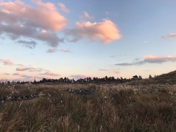 Scenic view of landscape against sky