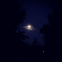 Low angle view of silhouette trees against sky at night